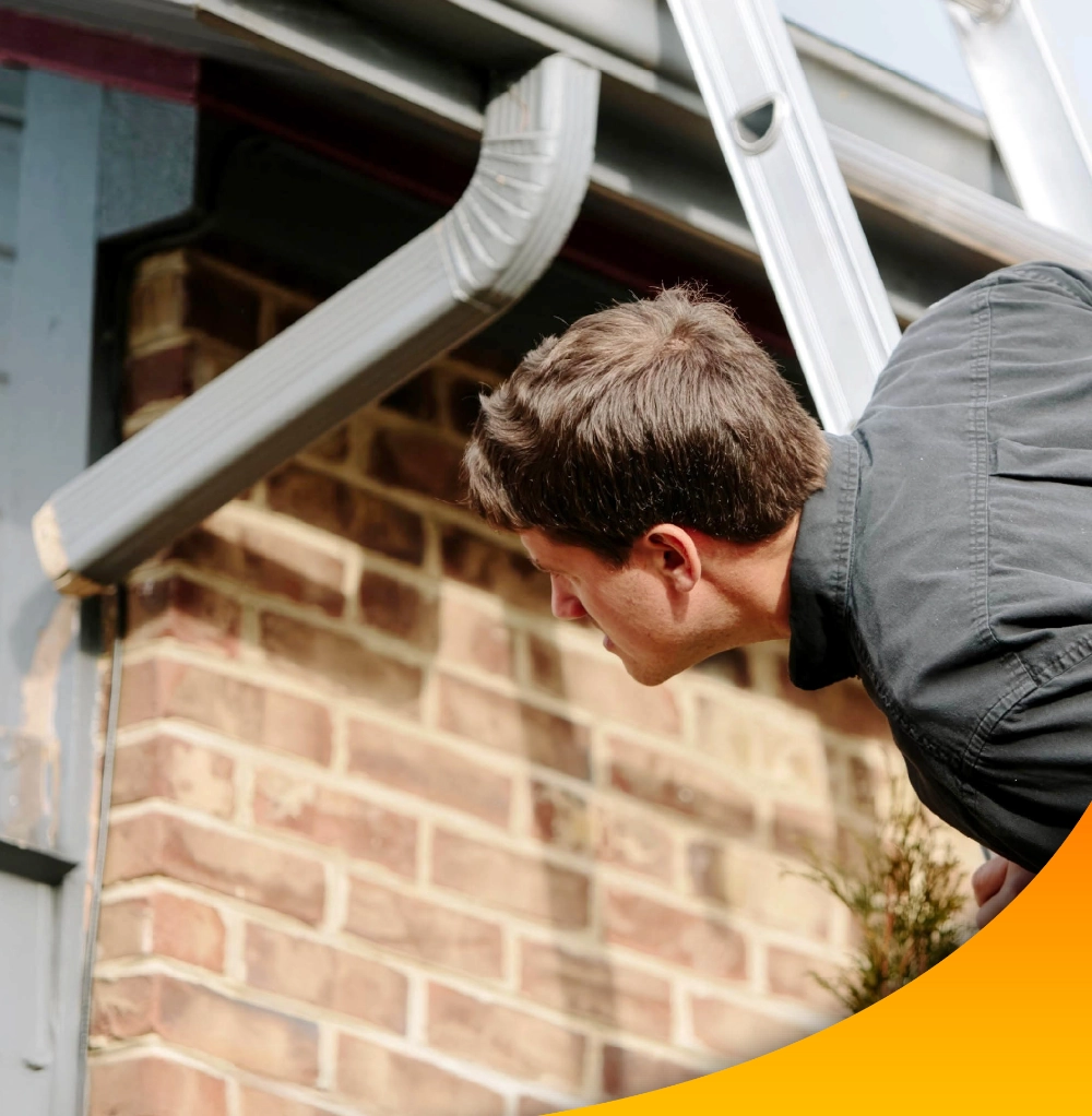 Imagen de Gutter Inspection & Cleaning Services